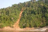 Asie - chemin pour sortir les arbres coup�s vers la rivi�re la plus proche